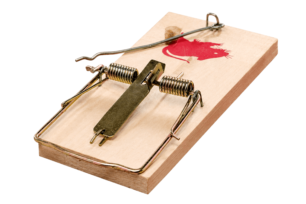 MOUSE TRAP